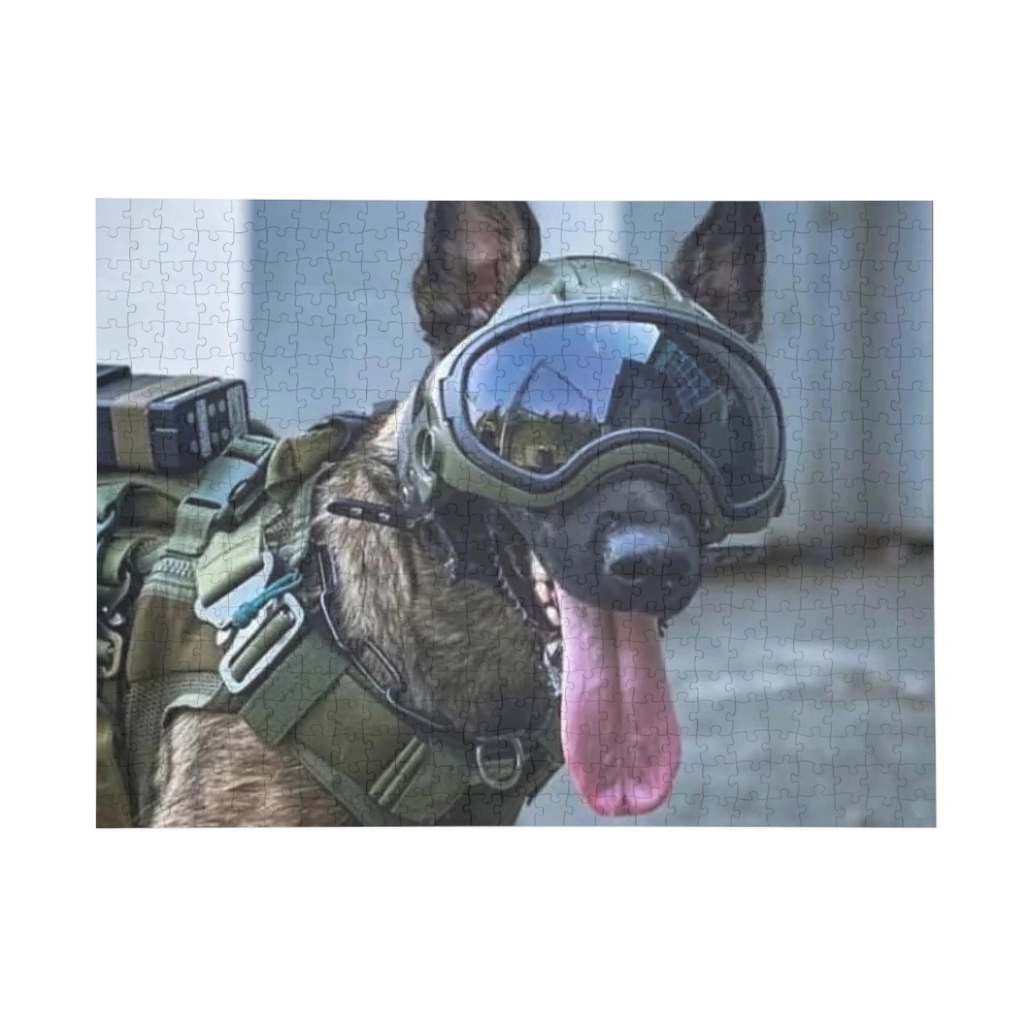 MWD Puzzle